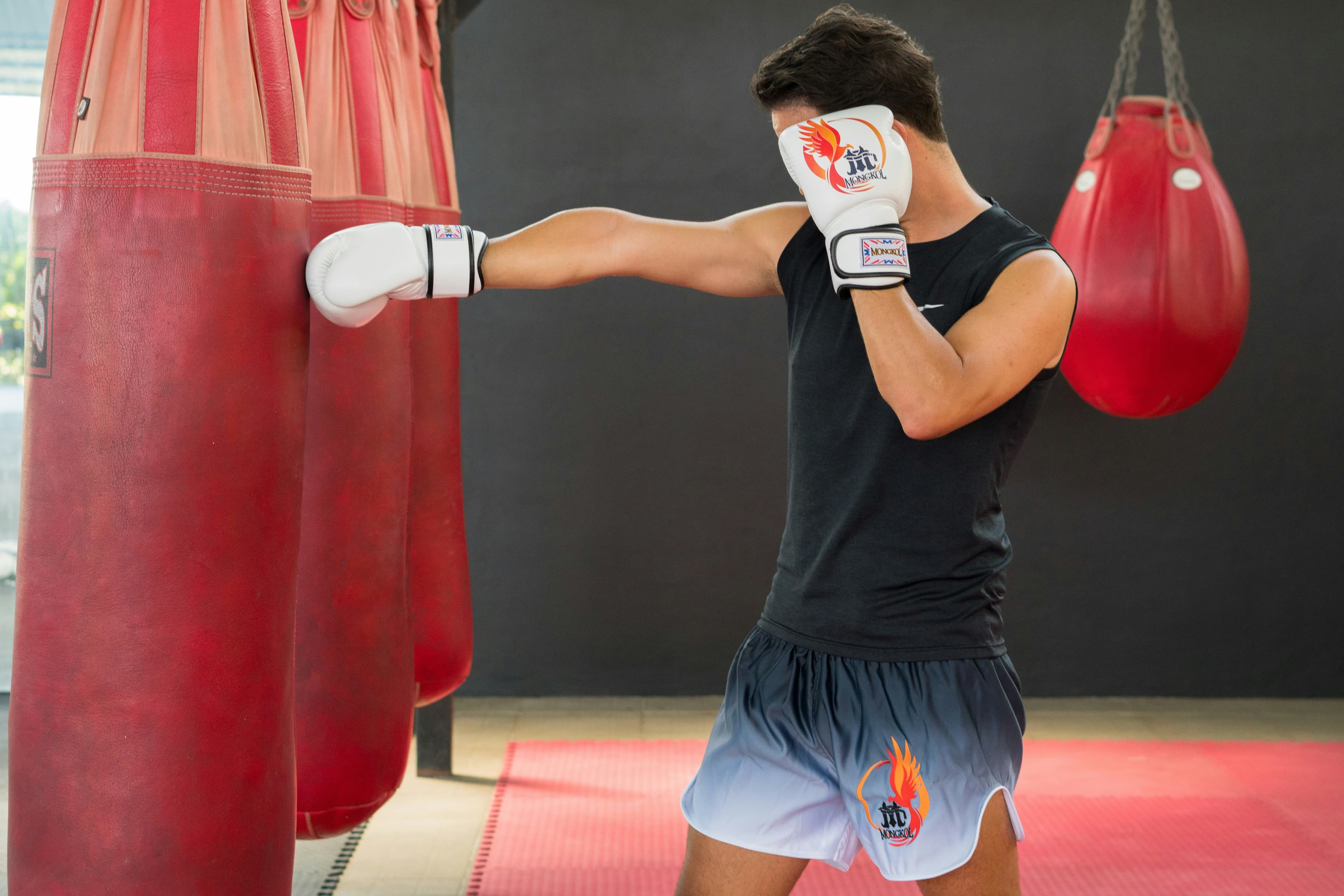 Boxing & MMA
